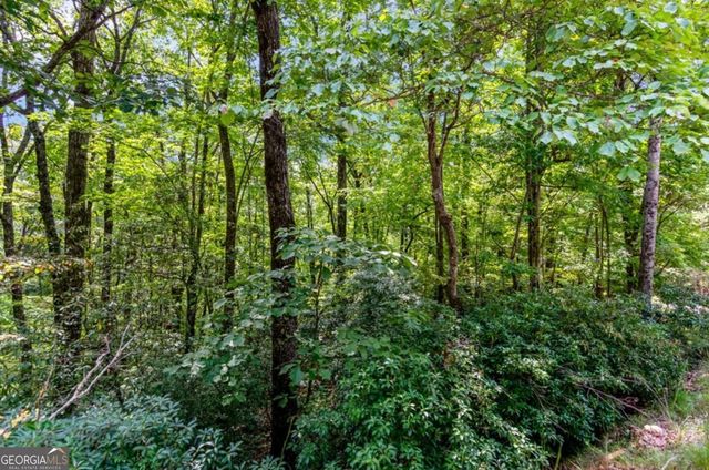 4.69 AC Rockwater Road, Ellijay, GA 30536