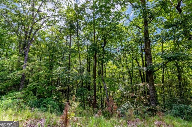 4.69 AC Rockwater Road, Ellijay, GA 30536