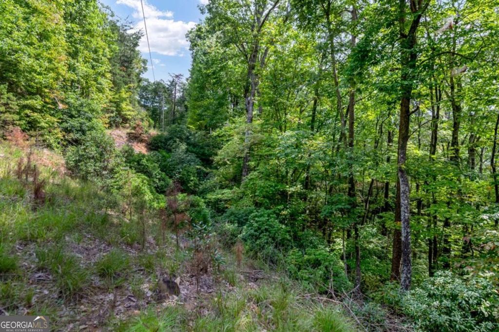 4.69 AC Rockwater Road, Ellijay, GA 30536