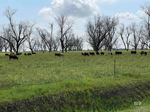 10588 Dunmore Drive, Daphne, AL 36526