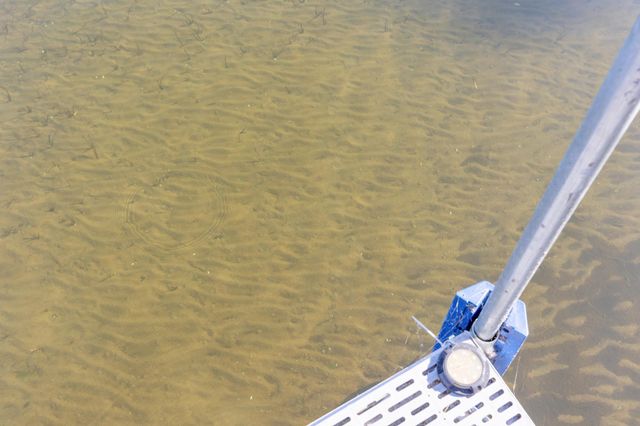 14801 Twilight Road, Kathio Twp, MN 56359