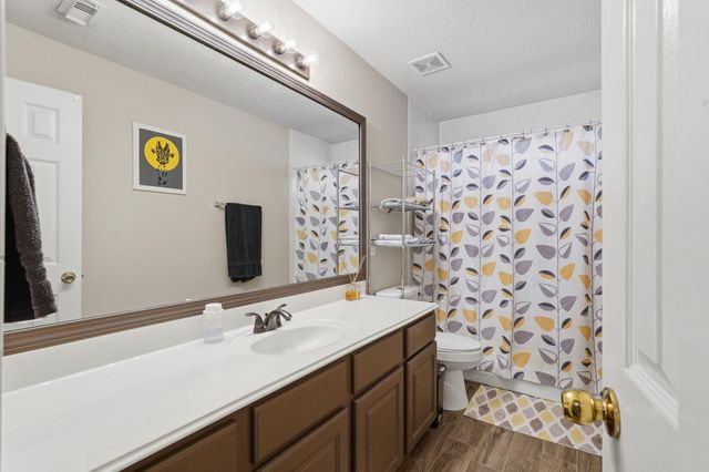 24810 Butterwick Drive, Spring, TX 77389