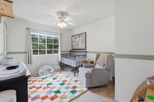 24810 Butterwick Drive, Spring, TX 77389
