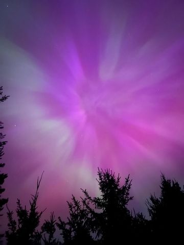 402 Chippendale Lane, Bonneau, SC 29431