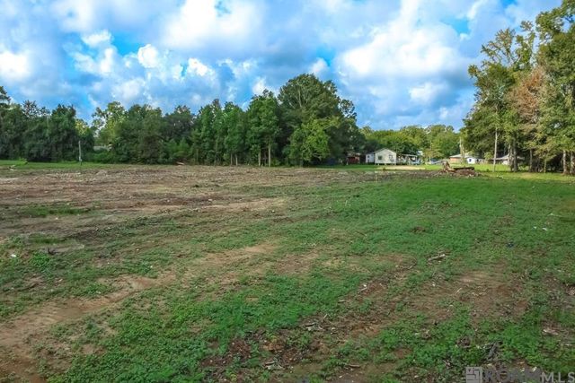 Tract 2A-2 Muddy Creek Rd, Prairieville, LA 70769