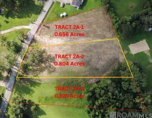 Tract 2A-2 Muddy Creek Rd, Prairieville, LA 70769