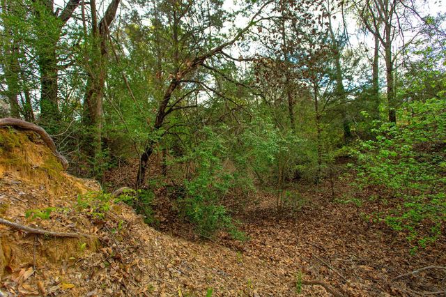 3882 Webb Cemetary Road, Calvert, TX 77837