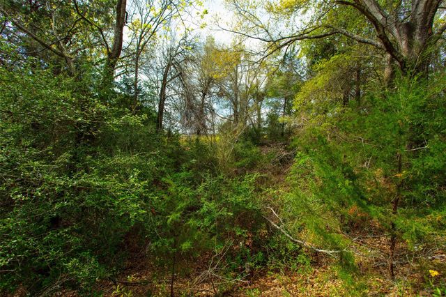 3882 Webb Cemetary Road, Calvert, TX 77837