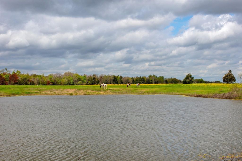 3882 Webb Cemetary Road, Calvert, TX 77837