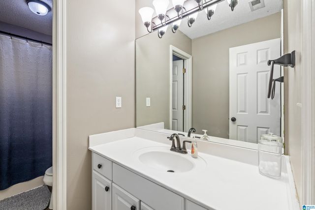 1301 AMBERLEY WOODS DRIVE, Helena, AL 35080