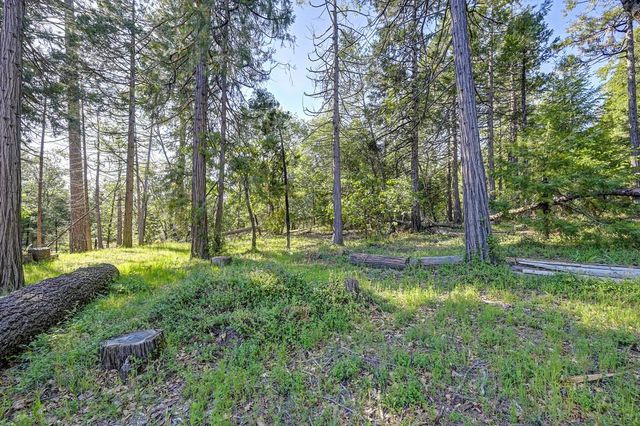 5415 Robert Rd, Pollock Pines, CA 95726