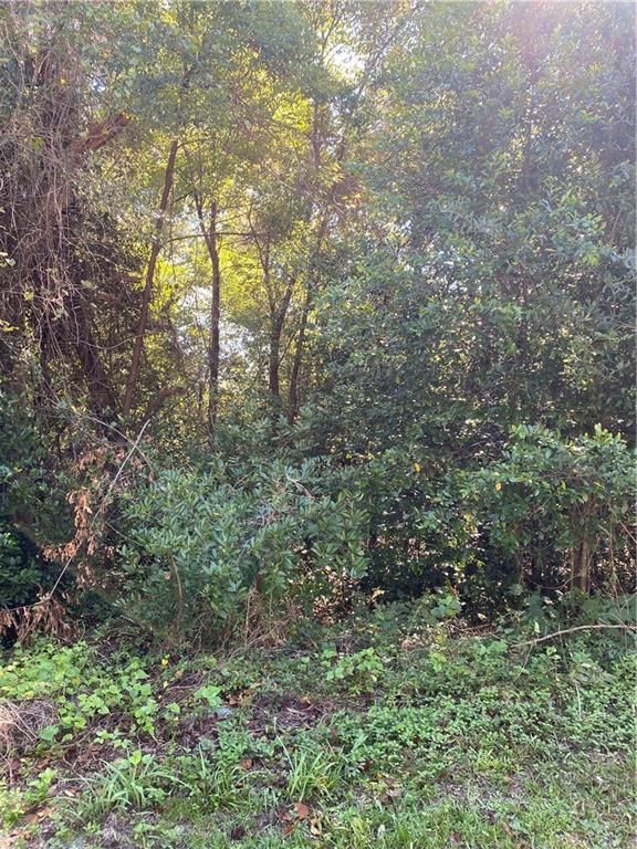 0 1st Street, Citronelle, AL 36522 — photo 3