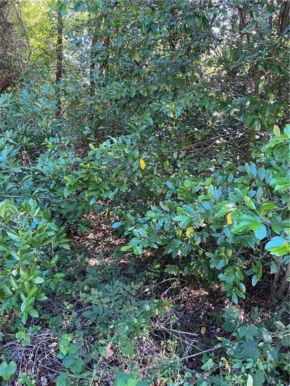 0 1st Street, Citronelle, AL 36522 — photo 4