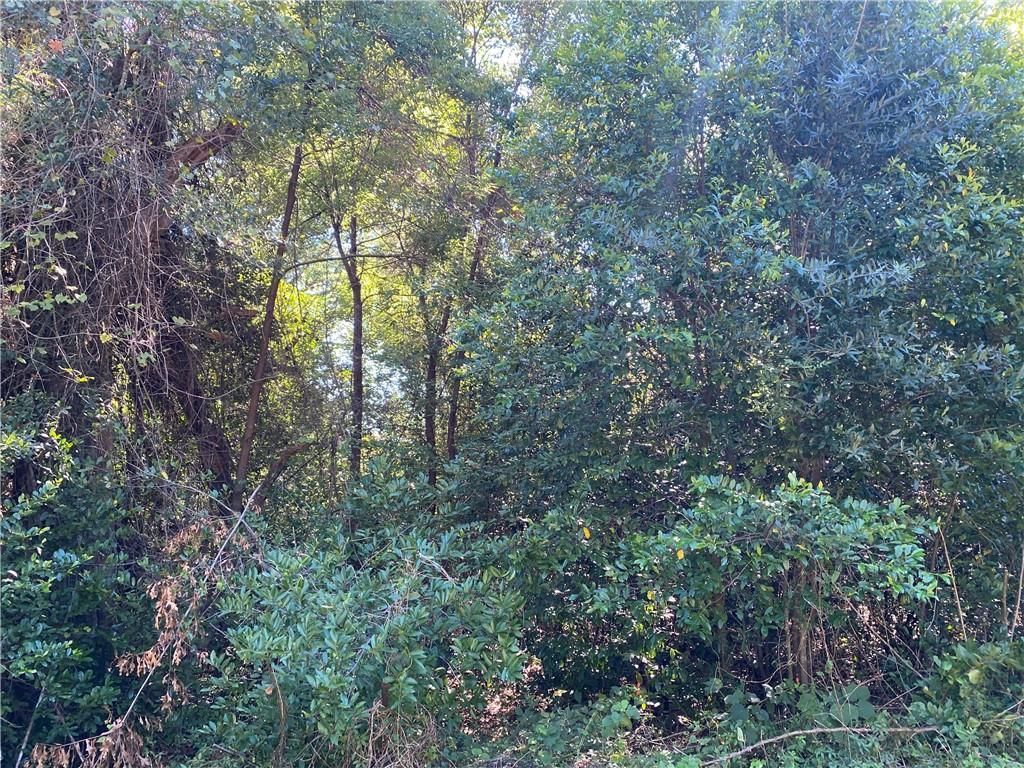 0 1st Street, Citronelle, AL 36522 — photo 5