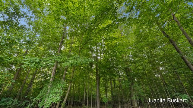 5392 Eaglepass Drive, Blendon Twp, MI 49426