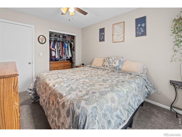 1739 S California Avenue, Loveland, CO 80537