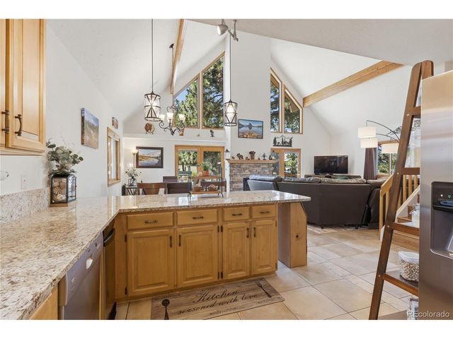 607 Meadow Station Cir, Parker, CO 80138