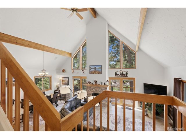 607 Meadow Station Cir, Parker, CO 80138