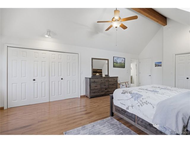 607 Meadow Station Cir, Parker, CO 80138