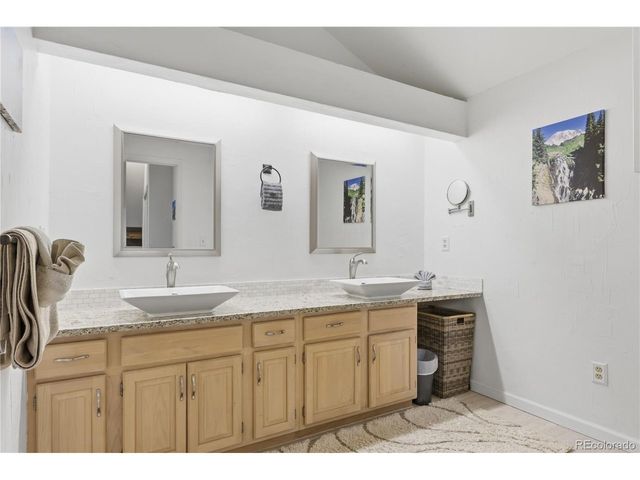607 Meadow Station Cir, Parker, CO 80138