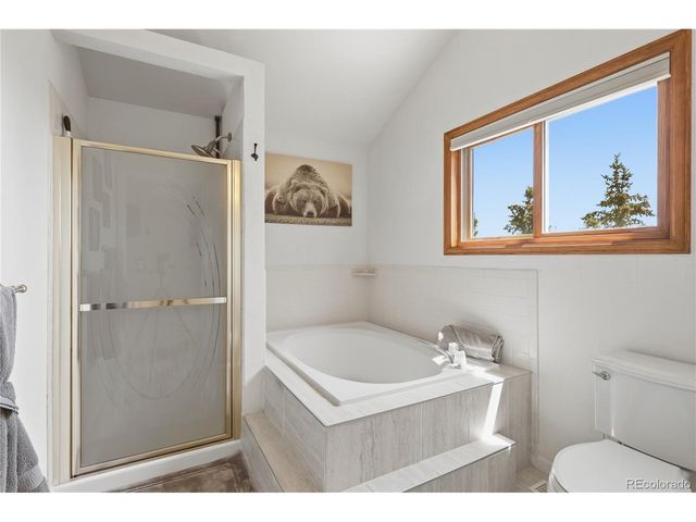 607 Meadow Station Cir, Parker, CO 80138