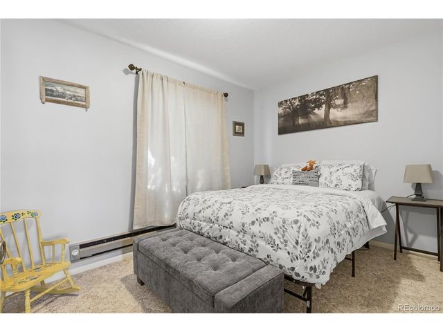 607 Meadow Station Cir, Parker, CO 80138