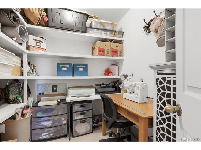 607 Meadow Station Cir, Parker, CO 80138