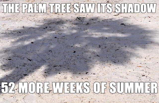 862 BIRD BAY WAY 194, Venice, FL 34285