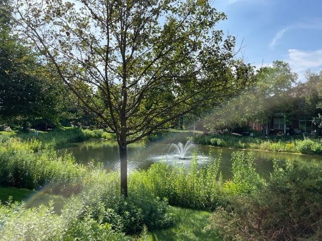 989 Enfield Drive, Northbrook, IL 60062