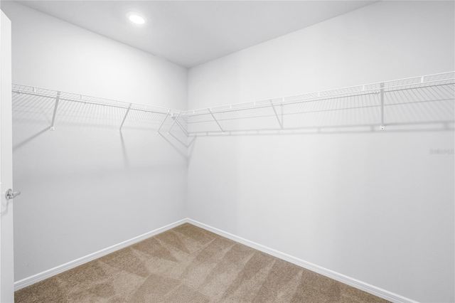 8527 ABALONE LOOP, Parrish, FL 34219