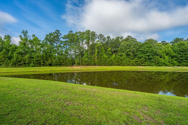 1324 Wild Goose Trail, Summerville, SC 29483