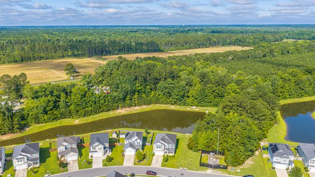1324 Wild Goose Trail, Summerville, SC 29483