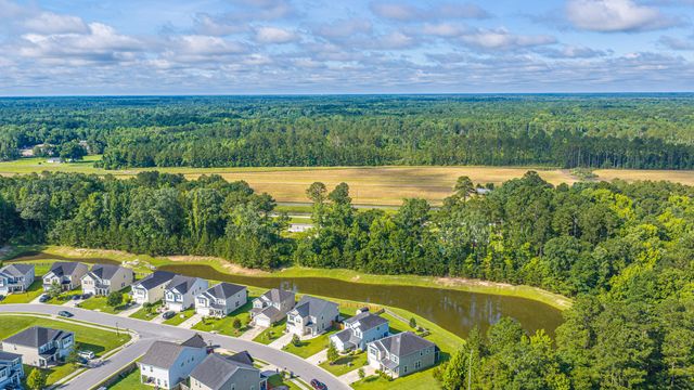 1324 Wild Goose Trail, Summerville, SC 29483