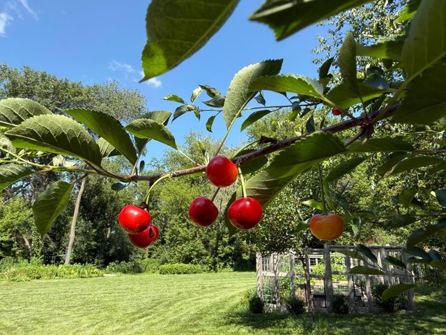 5435 Howard Street NW, Rochester, MN 55901