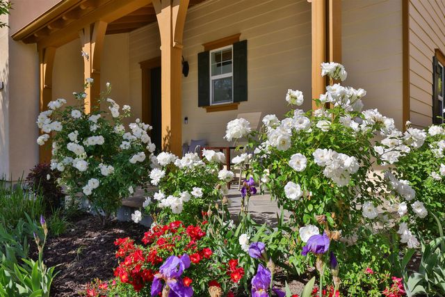 193 Lucy Ln, San Ramon, CA 94582