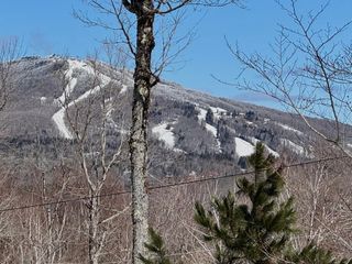 520 Moose Hollow Road, Winhall, VT 05340