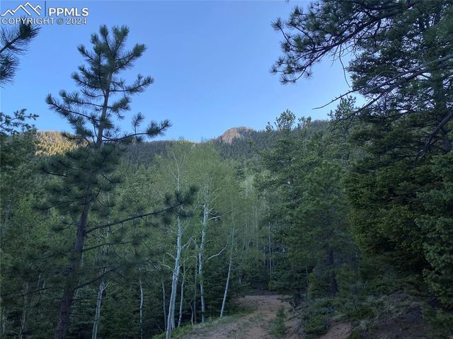 285 Forest Road, Manitou Springs, CO 80829