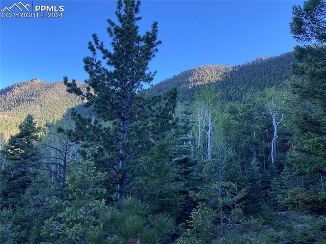 285 Forest Road, Manitou Springs, CO 80829