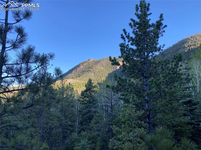 285 Forest Road, Manitou Springs, CO 80829