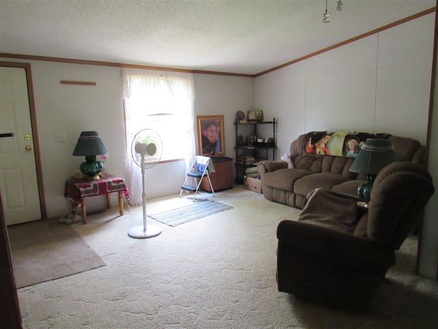710 N 204th Avenue, Hesperia, MI 49421