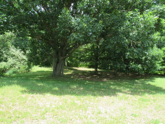 710 N 204th Avenue, Hesperia, MI 49421