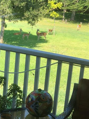 3287 Bradley Lane, Brenham, TX 77833