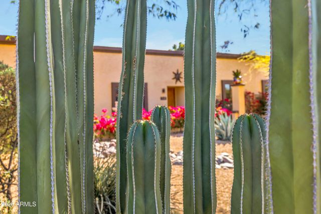 8611 E JENAN Drive, Scottsdale, AZ 85260