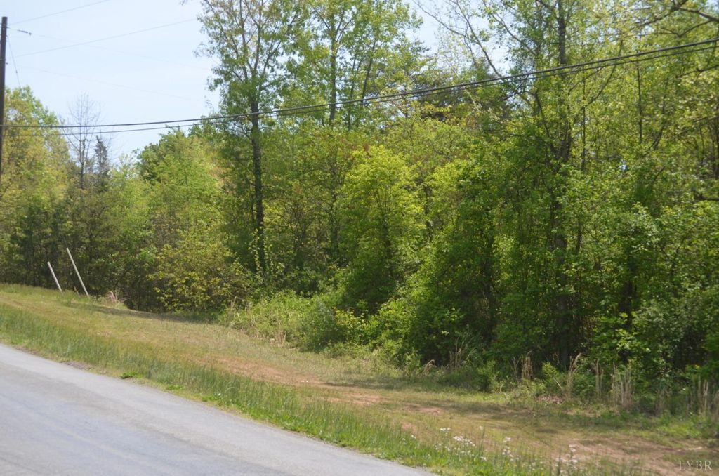 0 Dearing Ford Road, Altavista, VA 24517