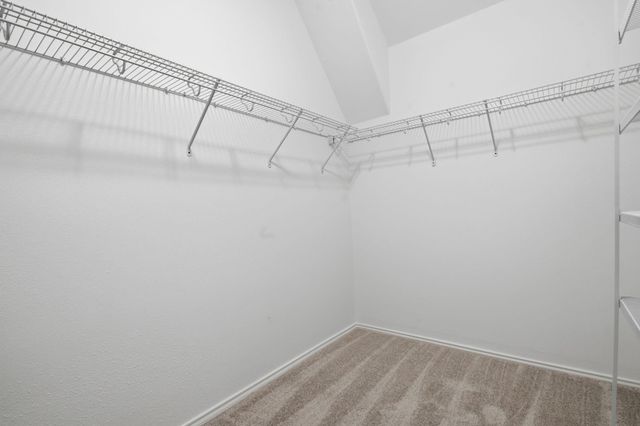 29810 Buffalo Canyon Drive, Spring, TX 77386