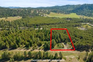 4090 Black Pine Way, Springdale, WA 99173