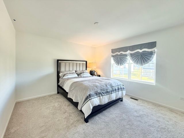 12930 S Platte Trail, Plainfield, IL 60585