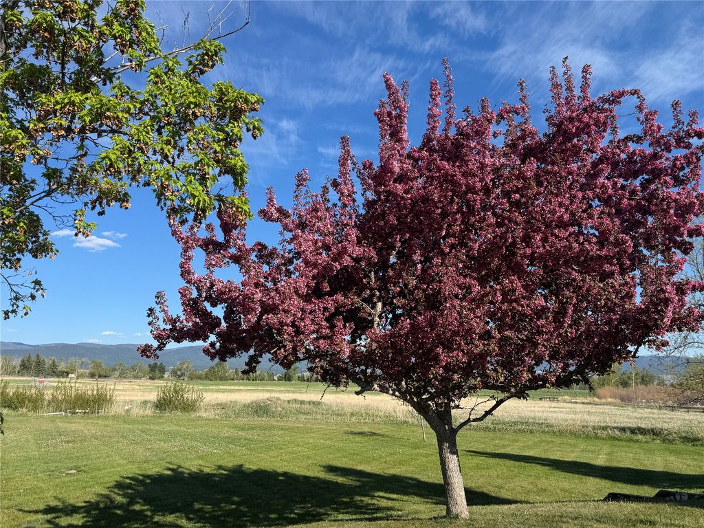 444 Windwalker Trail, Stevensville, MT 59870 photo 90