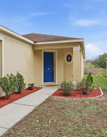 1048 LAKE SHORE RANCH DRIVE, Seffner, FL 33584