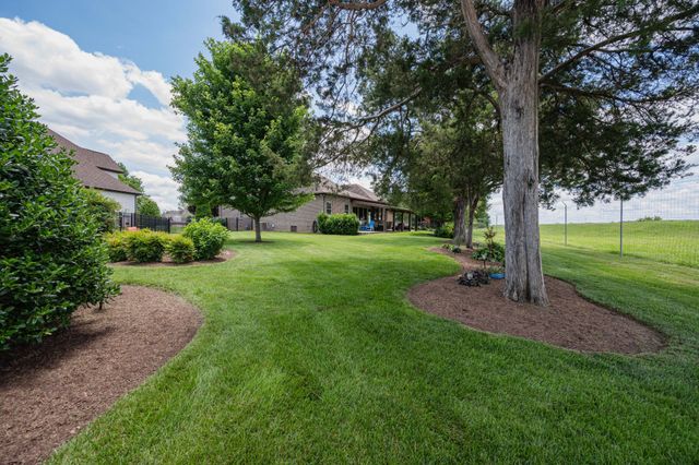 911 Wellspring Ct, Murfreesboro, TN 37130